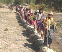 IDPs